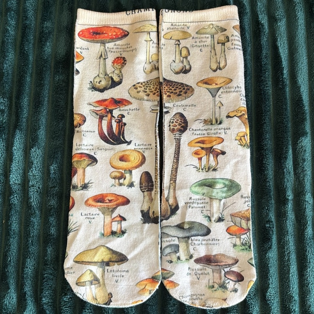 Champion | Mushroom Design Socks